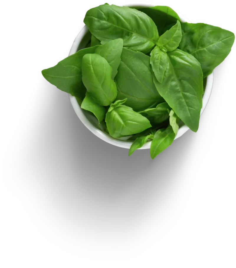 Basil bowl for pizza